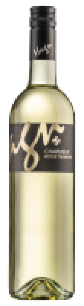 Charmeur 2024, Roter Traminer, Weingut Hagn, Weinviertel