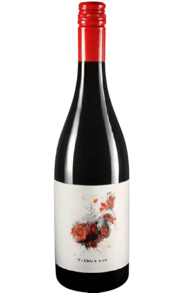 Roter Tribus 2023, Weingut Baier, Weinviertel